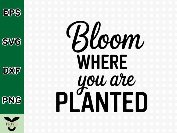 Bloom Where You Are Planted SVG